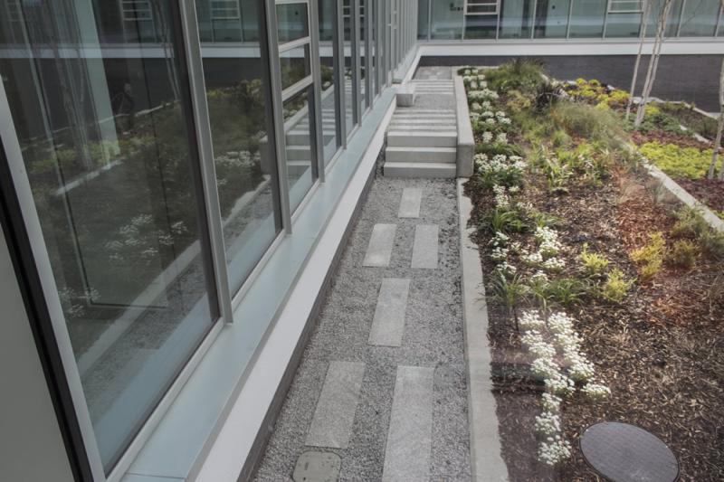 A walkway leading to a glass building with plants and flowers, enhanced by the use of metal sheets.